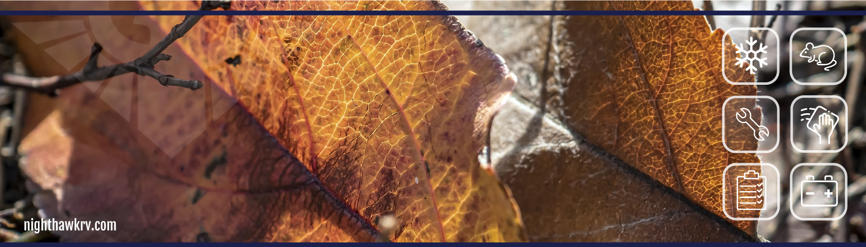 fall leaves on ground